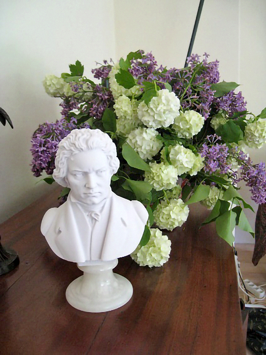 Evelyne ontvangt een Beethoven ...